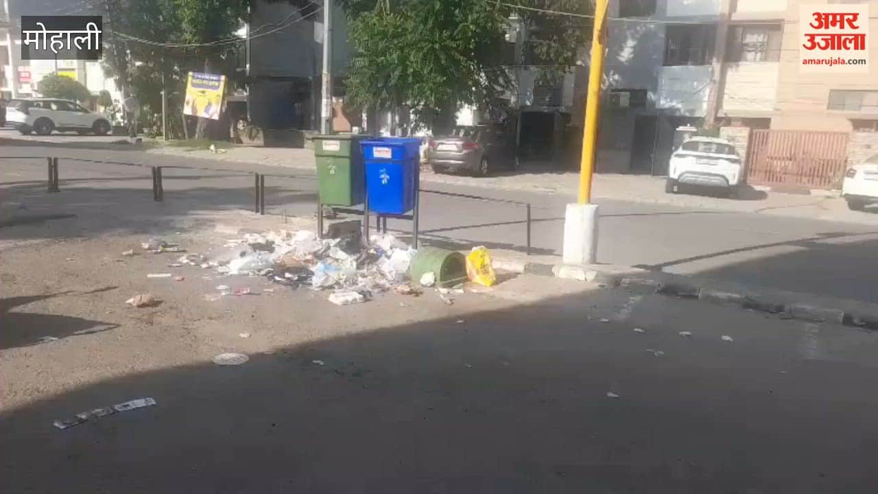 Sanitation workers in Mohali on an indefinite strike to protest the awarding of the door-to-door garbage collection contract.