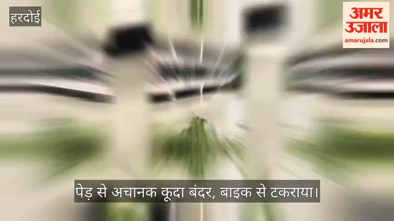Hardoi: Teacher falls into canal after colliding with a monkey; search underway.