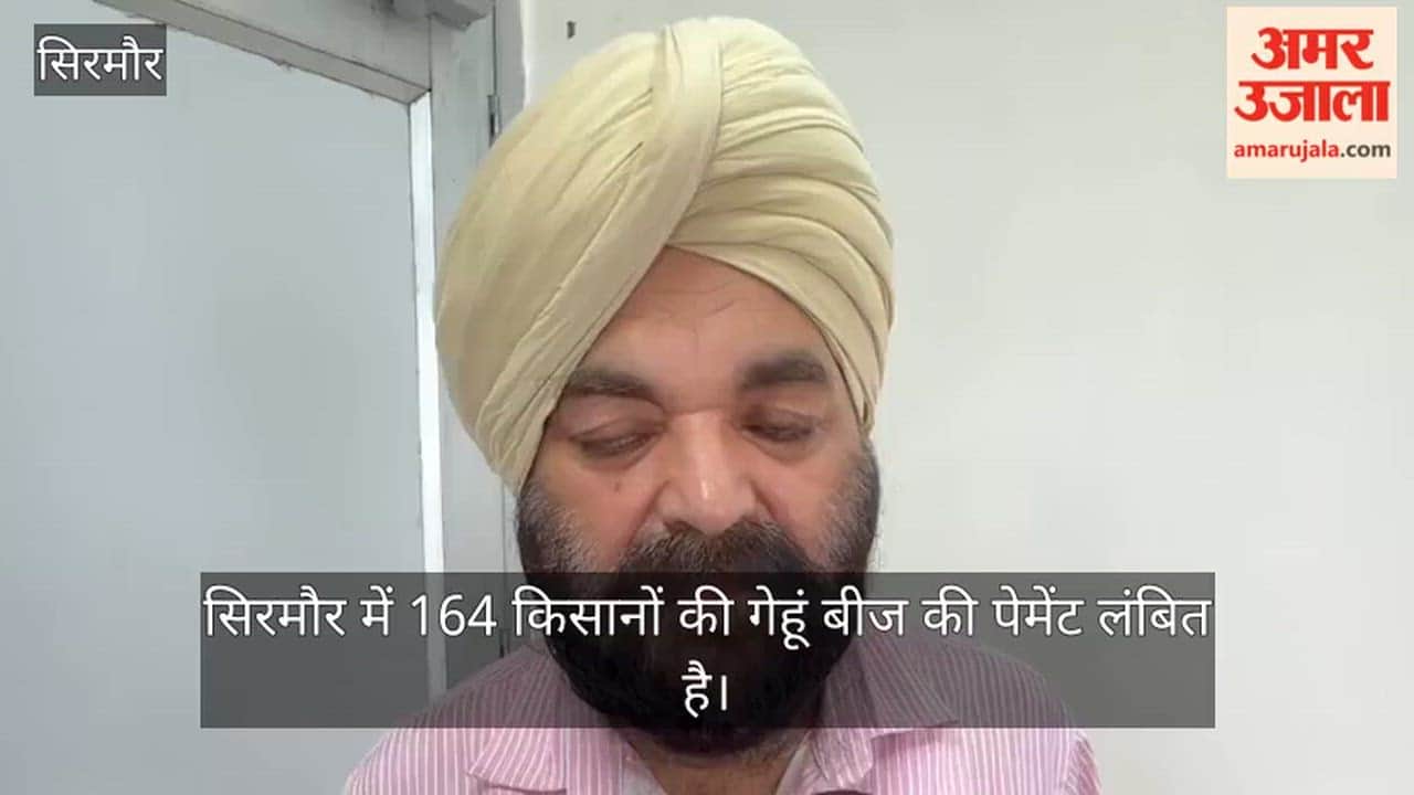 sirmaur 164 farmers payment of rs 1-64 crore stuck for wheat seed