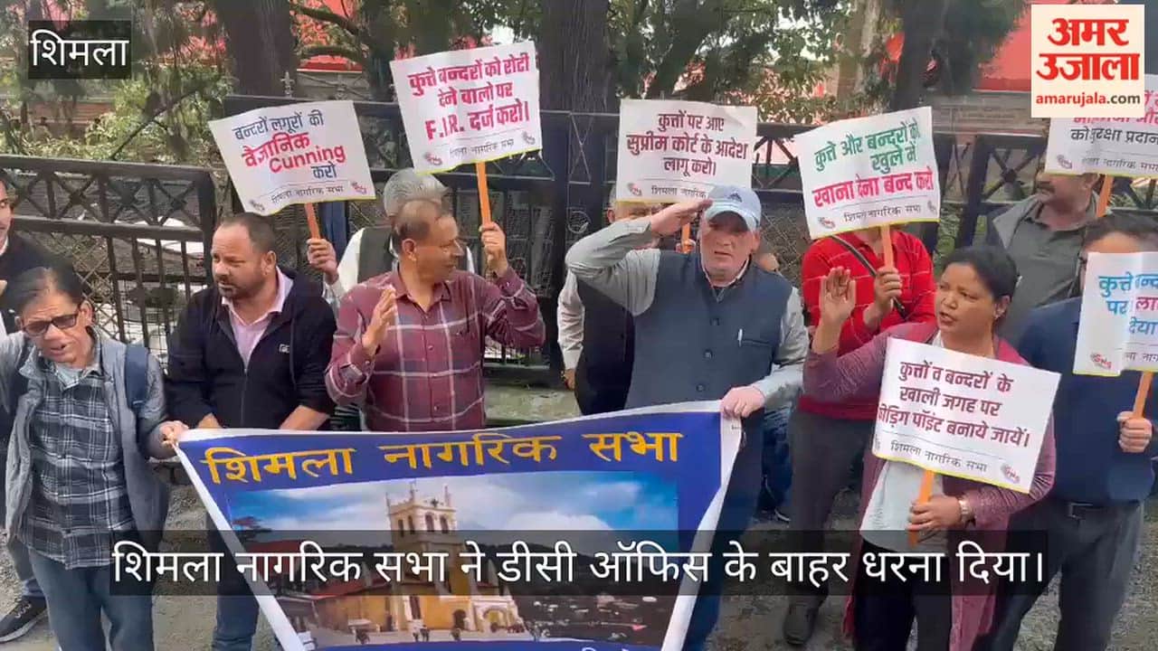 shimla nagrik sabha protest against monkey stray dog menace at dc office