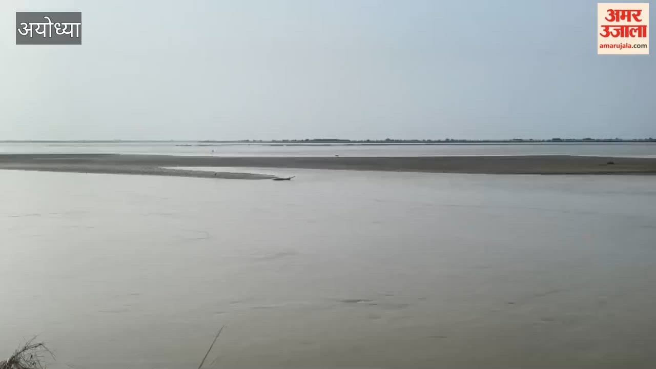 अयोध्या: मांझा कला में दिखा घड़ियाल, वीडियो वायरल