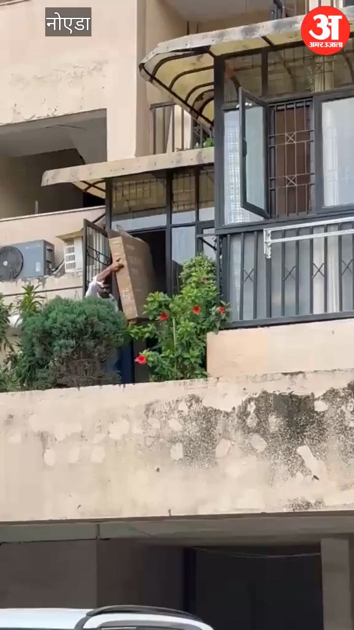 7 owls rescued from a Greater Noida West society video viral