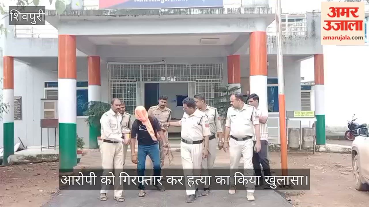 Shivpuri: Uncle Murdered Over 7-Year-Old Feud, Attacked with Stone During Drunken Assault; Accused Held