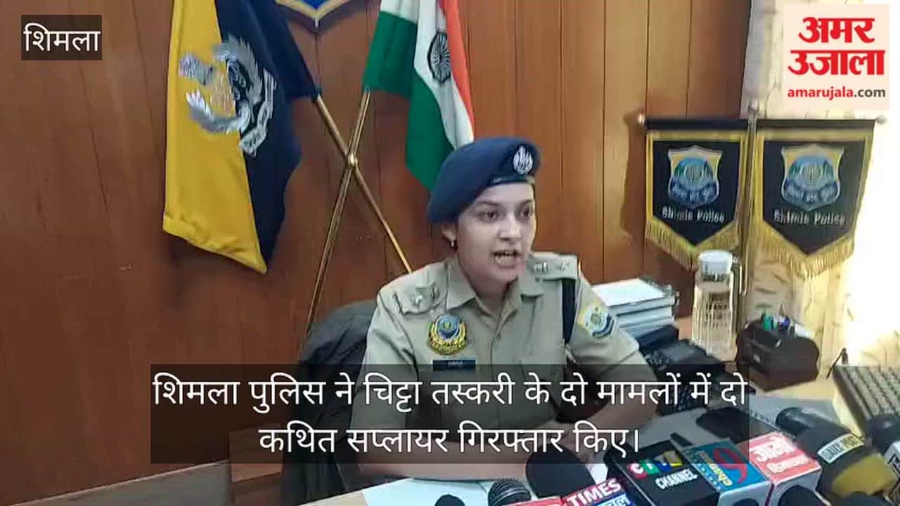 shimla police arrests chitta suppliers fazilka manimajra drug smuggling case