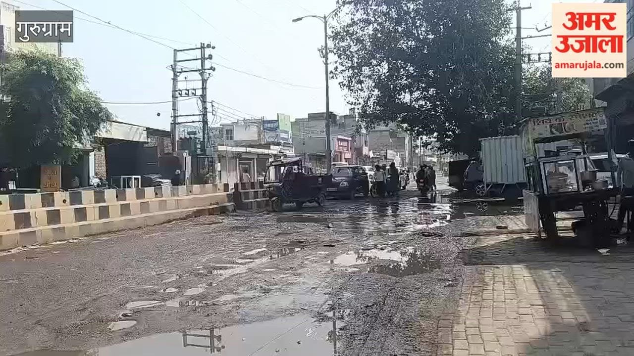 Residents troubled by potholes and overflowing sewers on Basai Road