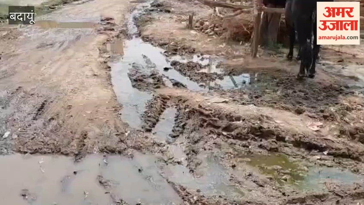 Fever outbreak in Badaun's Mirapur village