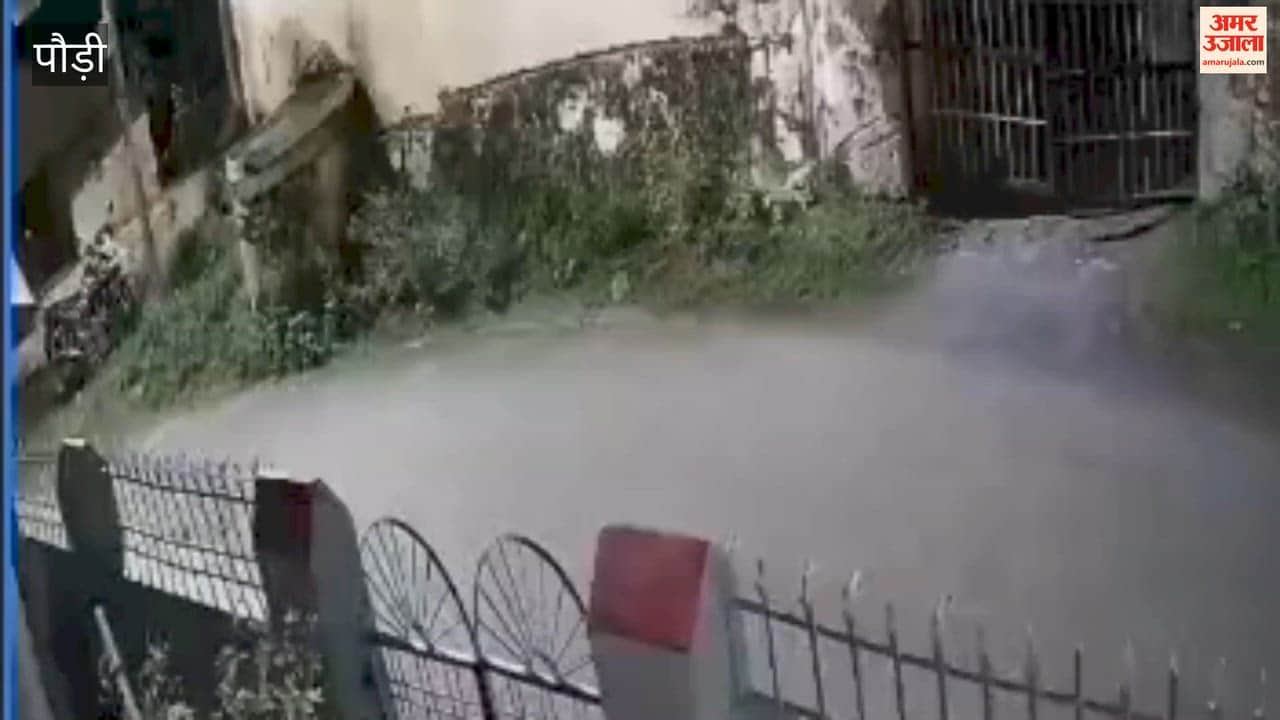 Pauri:Leopard spotted early in the morning on Dak Bungalow Road in Srinagar; caught on CCTV