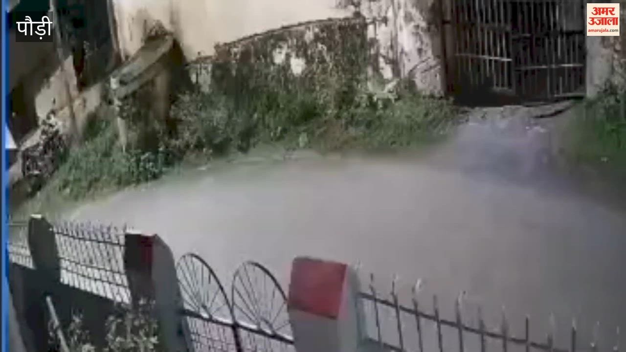 Pauri:Leopard spotted early in the morning on Dak Bungalow Road in Srinagar; caught on CCTV