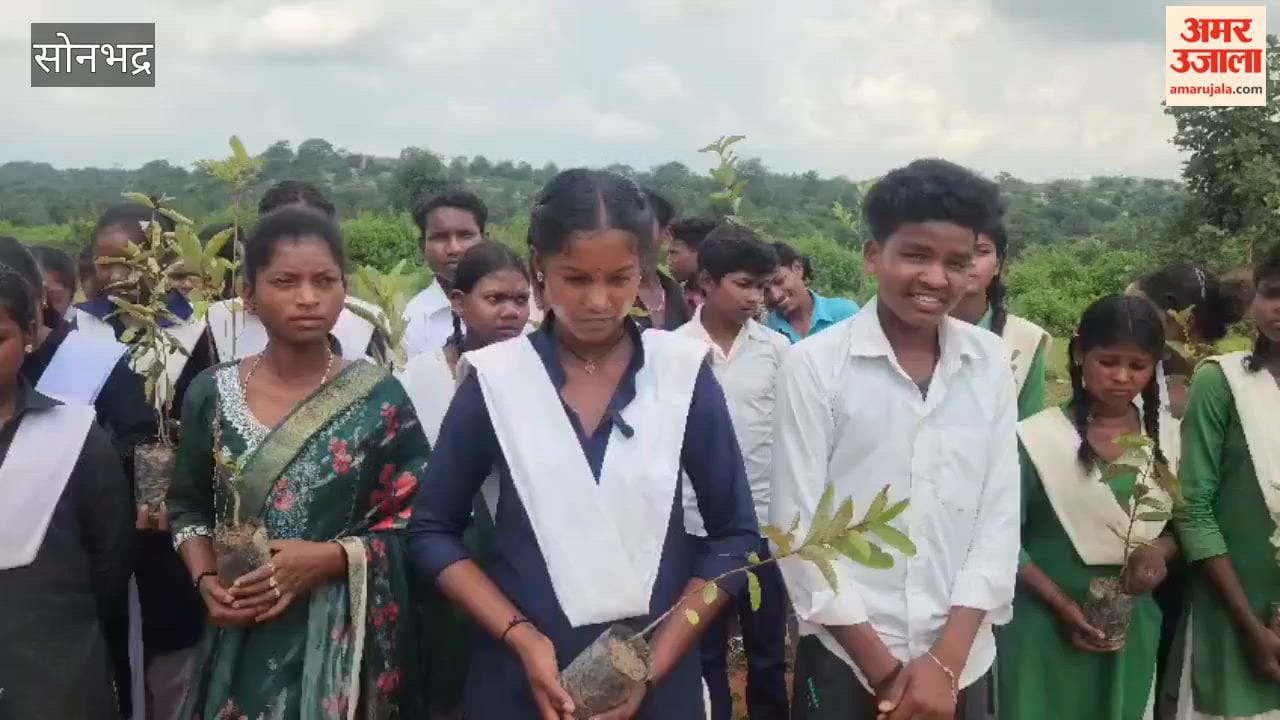 A new generation of tribals takes to the streets to save forests and land