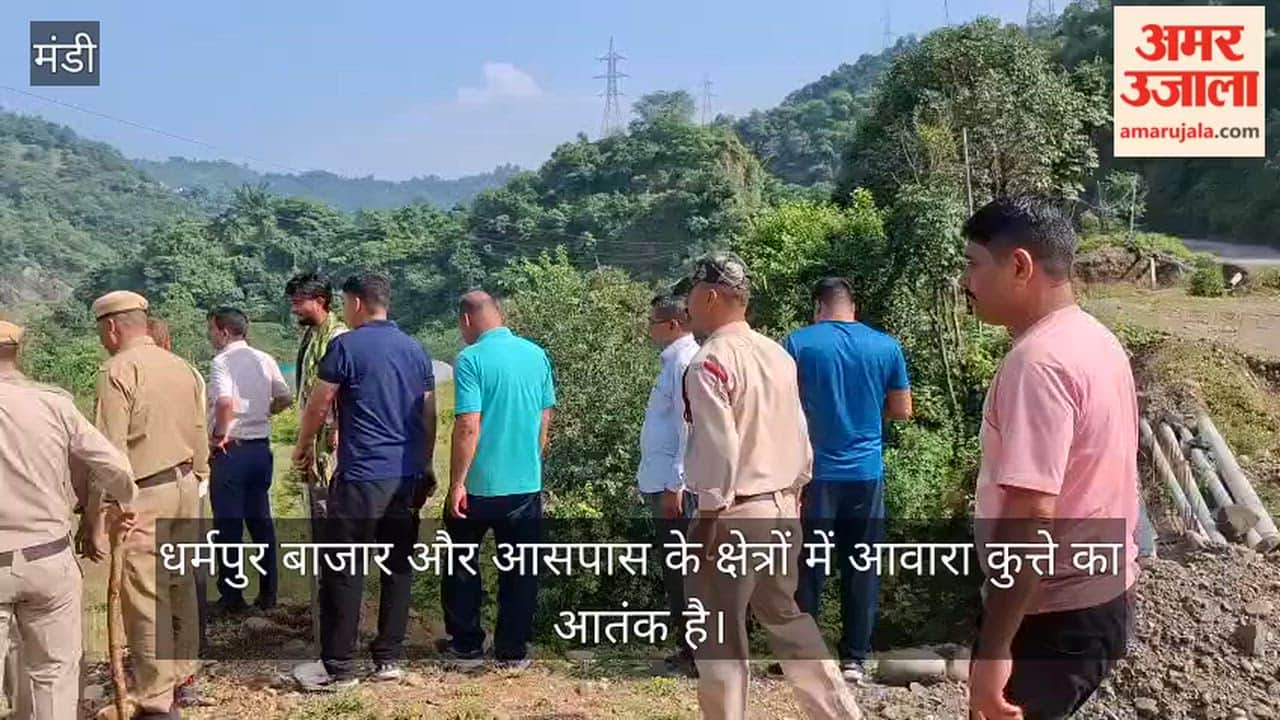 dharampur stray dog attack 13 people injured rescue operation