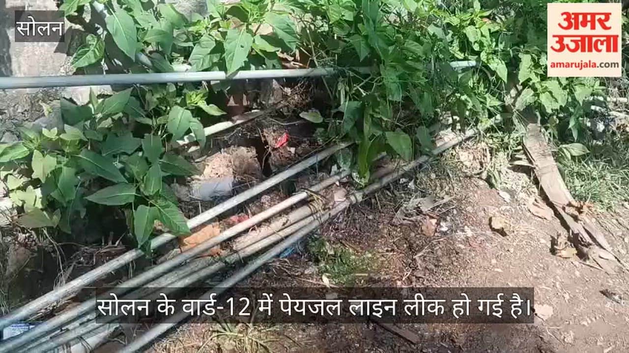 solan ward 12 drinking water pipeline leakage thousands litres water wasted