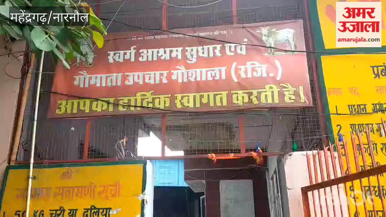 Narnaul: Six more cattle infected with Lumpy virus; 'Gau Mata Upchar Shala' is providing treatment; condition stable.