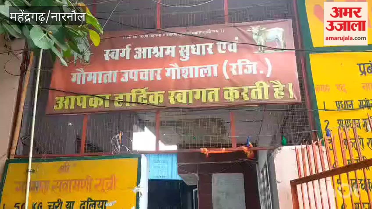 Narnaul: Six more cattle infected with Lumpy virus; 'Gau Mata Upchar Shala' is providing treatment; condition stable.