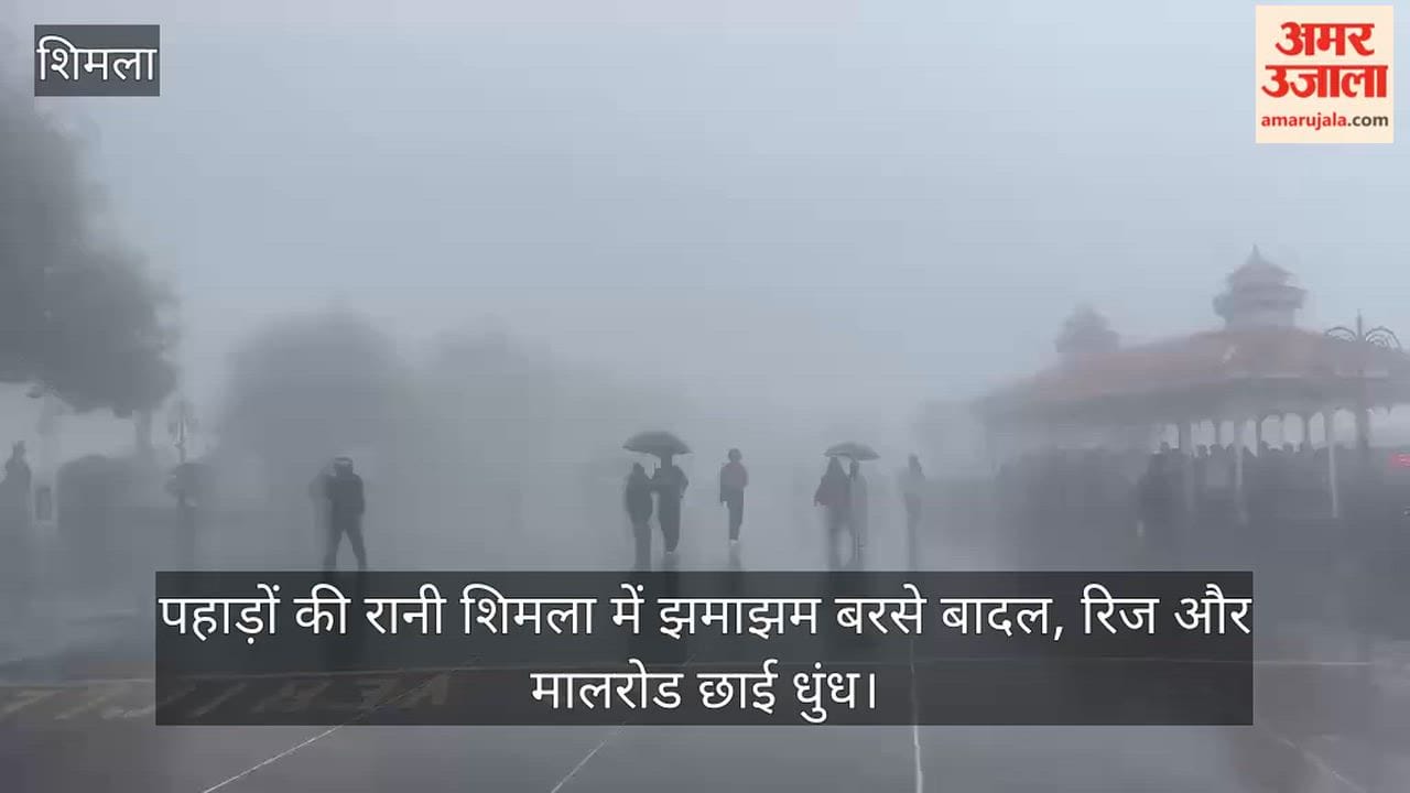Heavy rain lashes Shimla—the 'Queen of Hills'; mist blankets the Ridge and Mall Road.