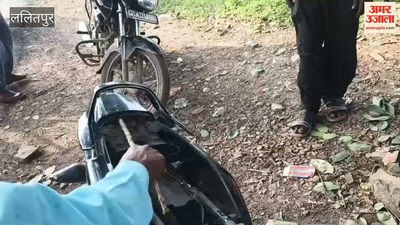 Snake enters moving bike; rider abandons bike and flees in panic.