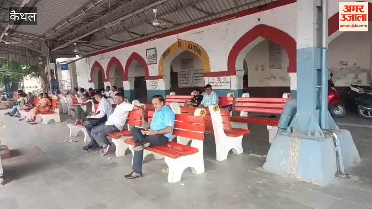 Engine collides with cow in Kaithal; Udaipur-Chandigarh Superfast train halted for 4 hours.