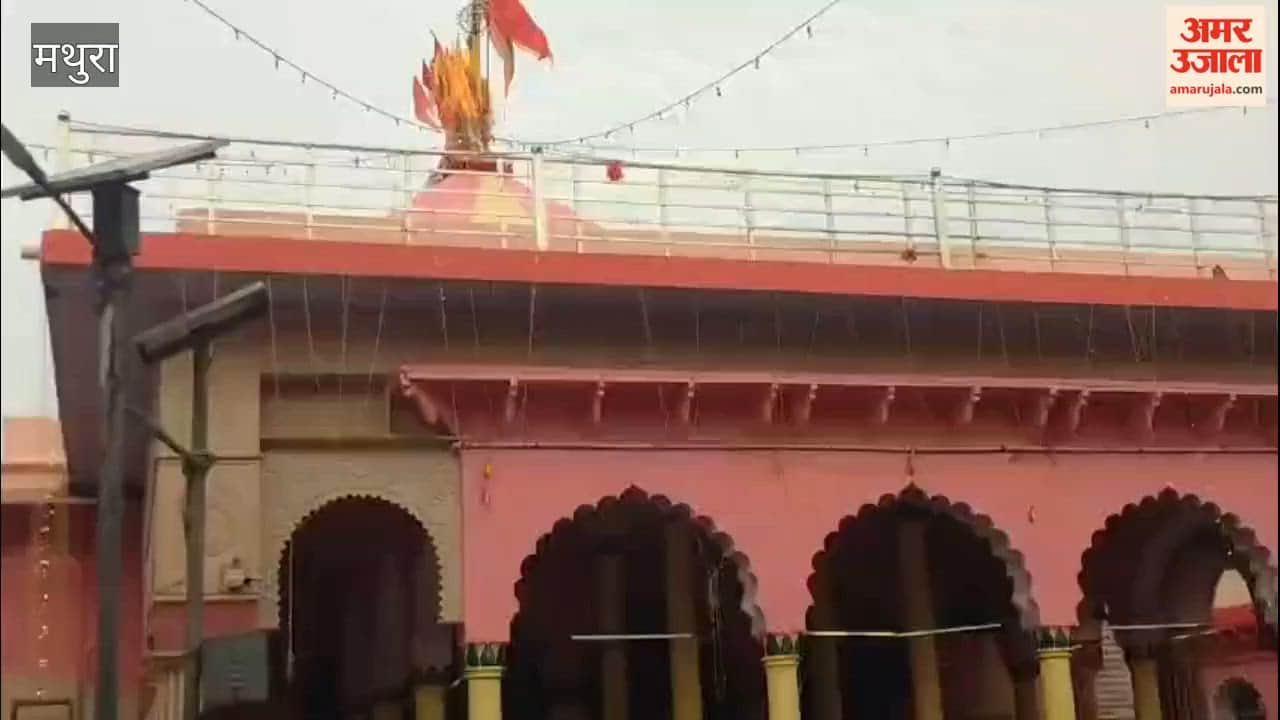 A massive sea of devotees thronged the event on Baldev Chhath to celebrate the birth anniversary of Shri Dauji Maharaj.