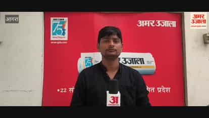 Agra Mandi Traders Troubled as Rats Damage Shops and Cause Heavy Losses