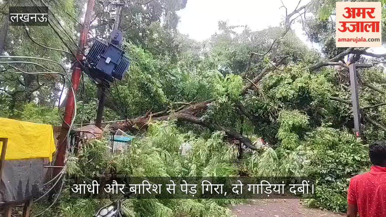 VIDEO: गोमती नगर में आंधी और बारिश से पेड़ गिरा, दो गाड़ियां दबीं