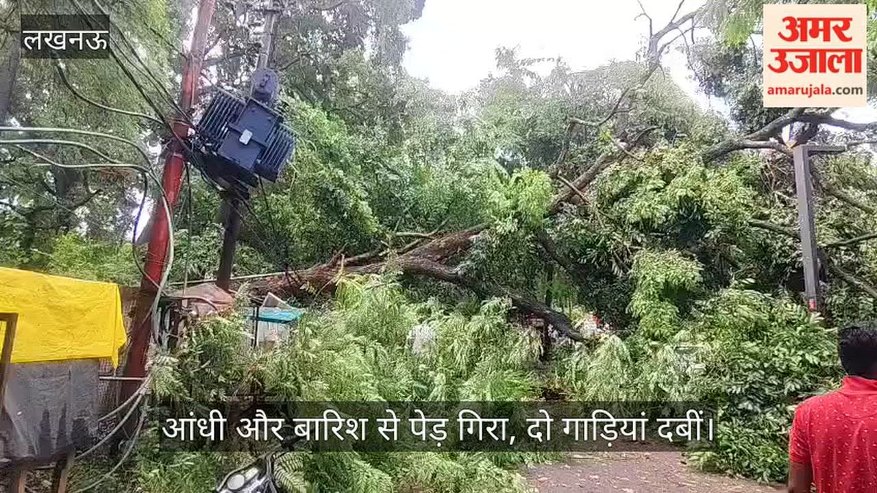 VIDEO: गोमती नगर में आंधी और बारिश से पेड़ गिरा, दो गाड़ियां दबीं