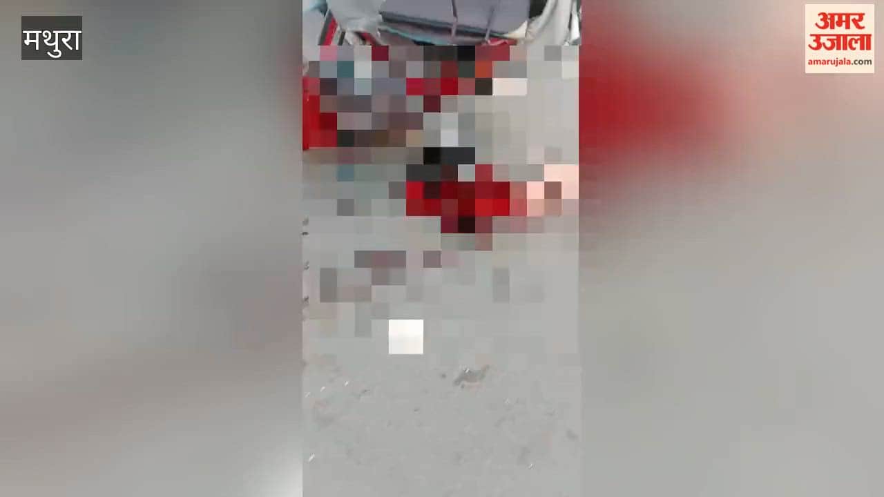 Tragic road accident in Chhata; tempo overturns after collision with an unidentified vehicle; one woman dead, 13 injured.