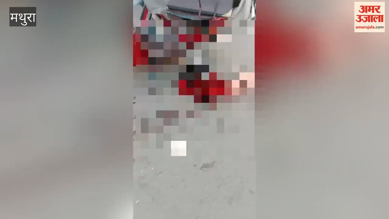Tragic road accident in Chhata; tempo overturns after collision with an unidentified vehicle; one woman dead, 13 injured.