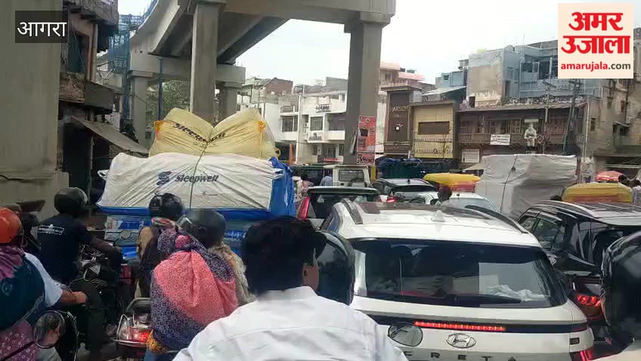 Agra Water Crisis: Man Climbs Metro Bridge