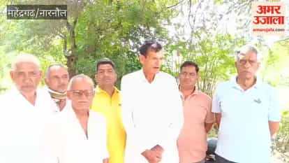 Pearl millet crop damaged due to scanty rainfall in Narnaul; farmers demand compensation of ₹15,000 per acre