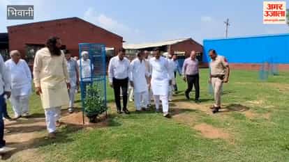 Gau Seva Aayog Chairman visits Bhiwani; stray cattle roaming the streets to get shelter within a year.