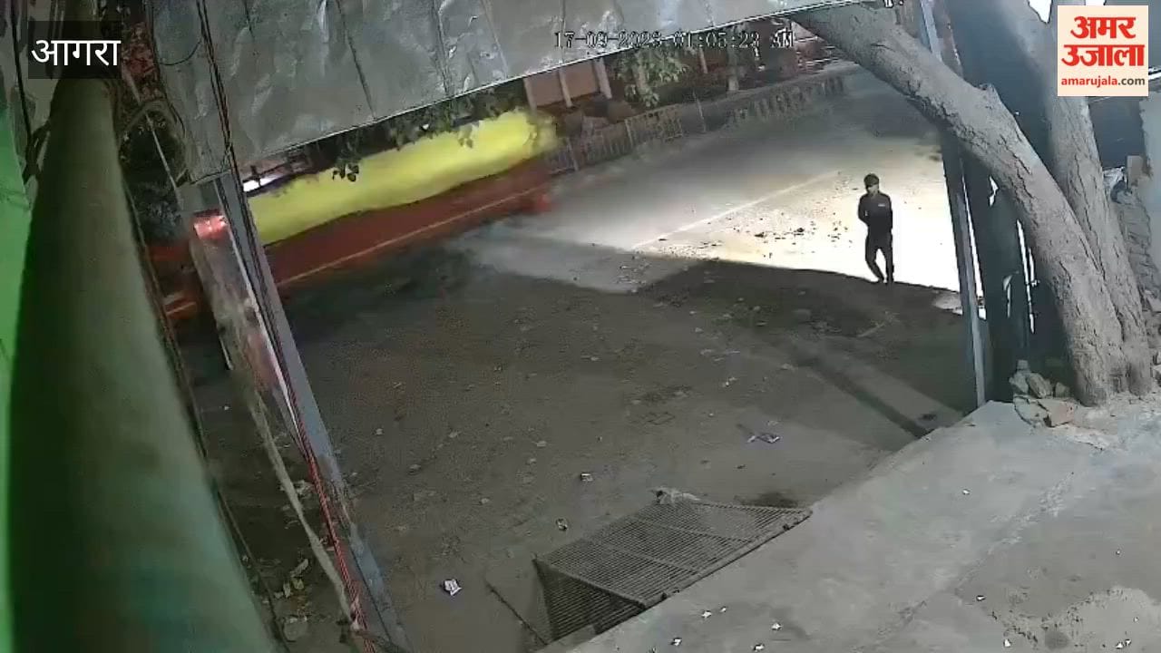 Clever Thief Climbs Onto Showroom Roof Using Tree