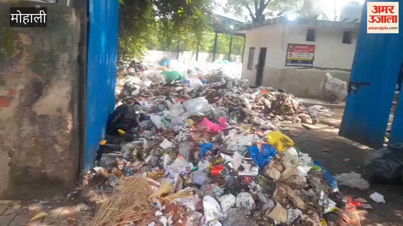 Garbage is not being cleared from the RMC point in Mohali.