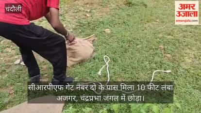 10-foot-long python found near CRPF Gate No. 2, released into Chandraprabha forest
