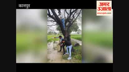 Kanpur: Bodies of lovers found hanging from a tree; relationship had been ongoing for about a year