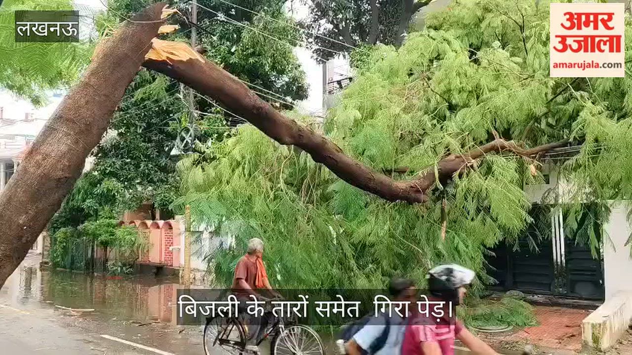 Video: विमला सदन में आंधी के बाद बिजली के तारों समेत  गिरा पेड़
