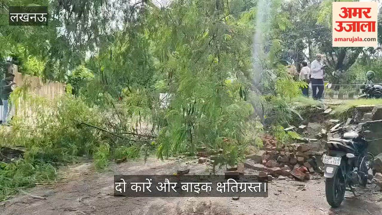 Video: विशाल खंड में पेड़ गिरने से फुटपाथ की दीवार टूटी, दो कारें और बाइक क्षतिग्रस्त
