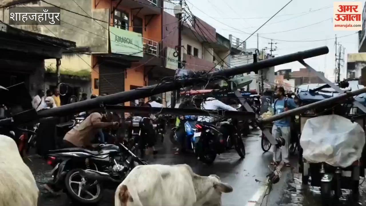 Electric pole falls on e-rickshaw due to storm in Shahjahanpur