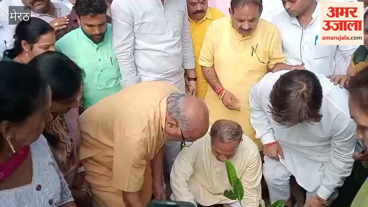 Meerut: Saplings planted at Bhamashah Park on Prime Minister Narendra Modi's birthday.