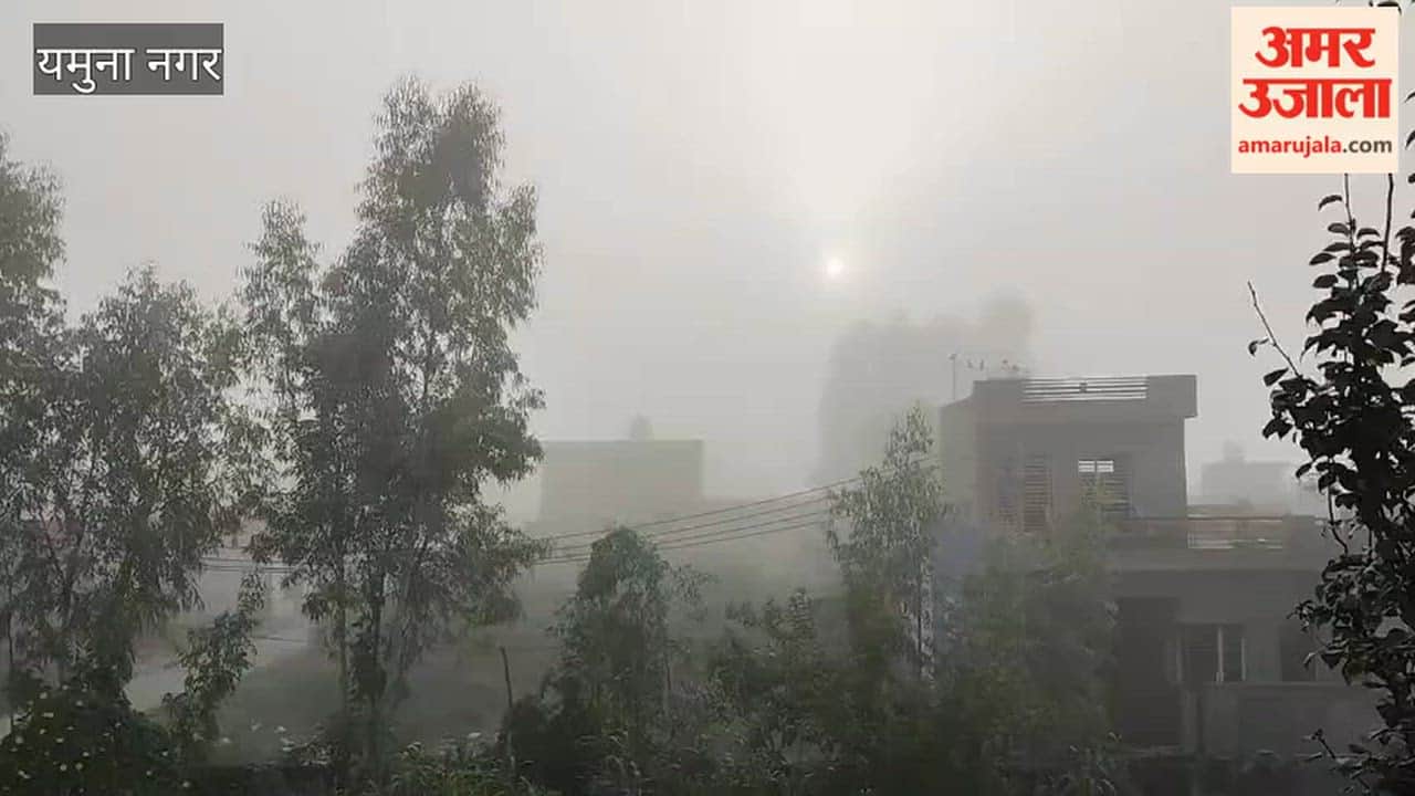 Fog blankets Yamunanagar; visibility affected by white sheet