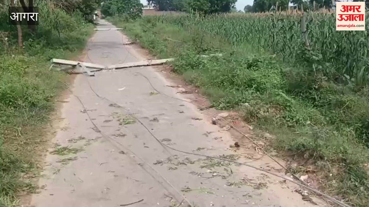 Eight Electricity Poles Collapse in Storm in Agra’s Bah