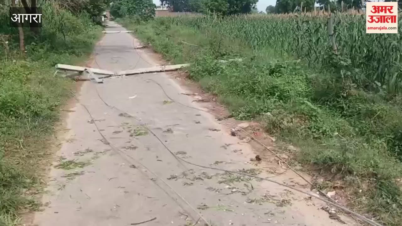 Eight Electricity Poles Collapse in Storm in Agra’s Bah