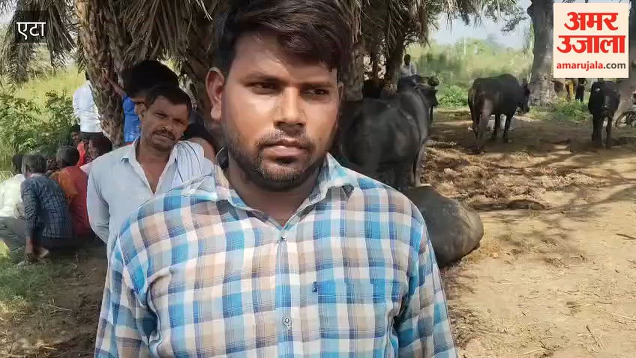 Two Buffaloes Die of Electric Shock in Gaganpuri