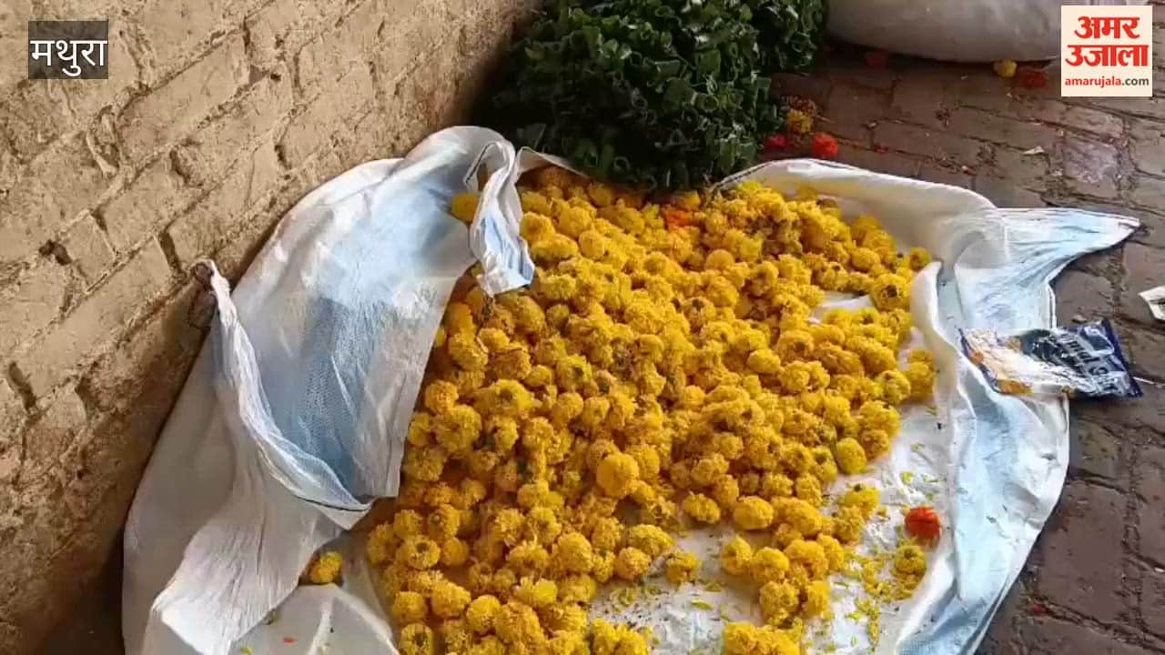Yellow Flowers in High Demand Ahead of Radha Ashtami