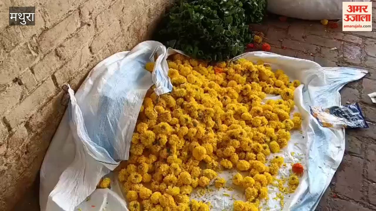 Yellow Flowers in High Demand Ahead of Radha Ashtami