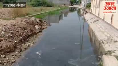 Sewerage clogged in Kotkapura's Ward No. 2; residents' lives turned into a nightmare.