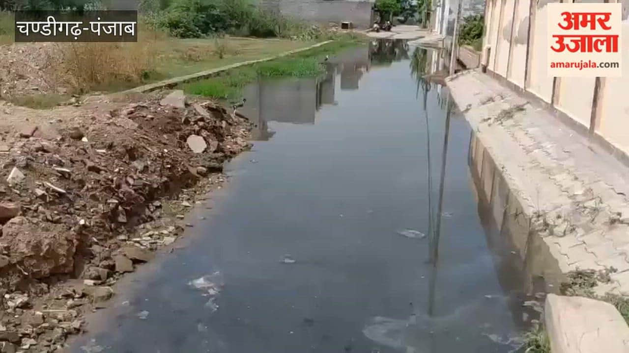 Sewerage clogged in Kotkapura's Ward No. 2; residents' lives turned into a nightmare.