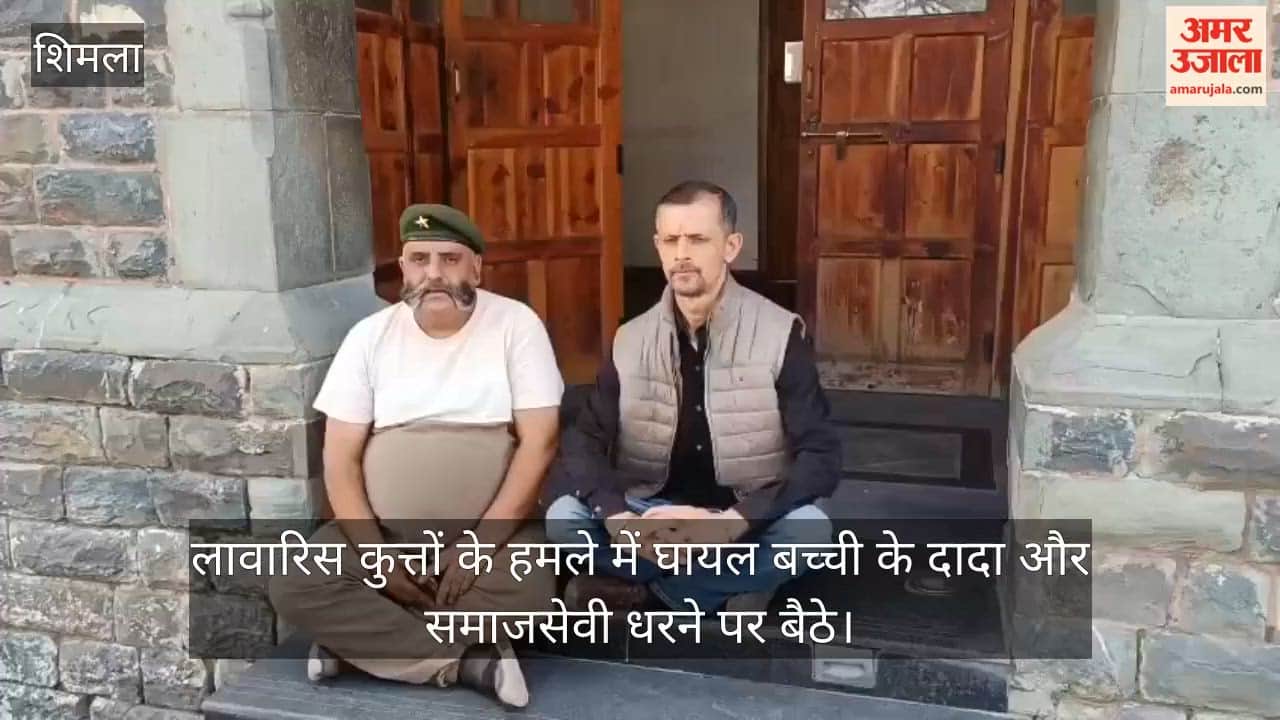 Grandfather of a girl injured in a stray dog attack and a social activist stage a sit-in; outrage against the Municipal Corporation