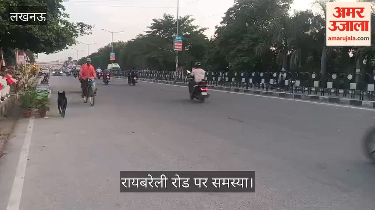 Video: विपरीत दिशा में वाहन चलने से बढ़ा हादसों का खतरा, रायबरेली रोड पर समस्या
