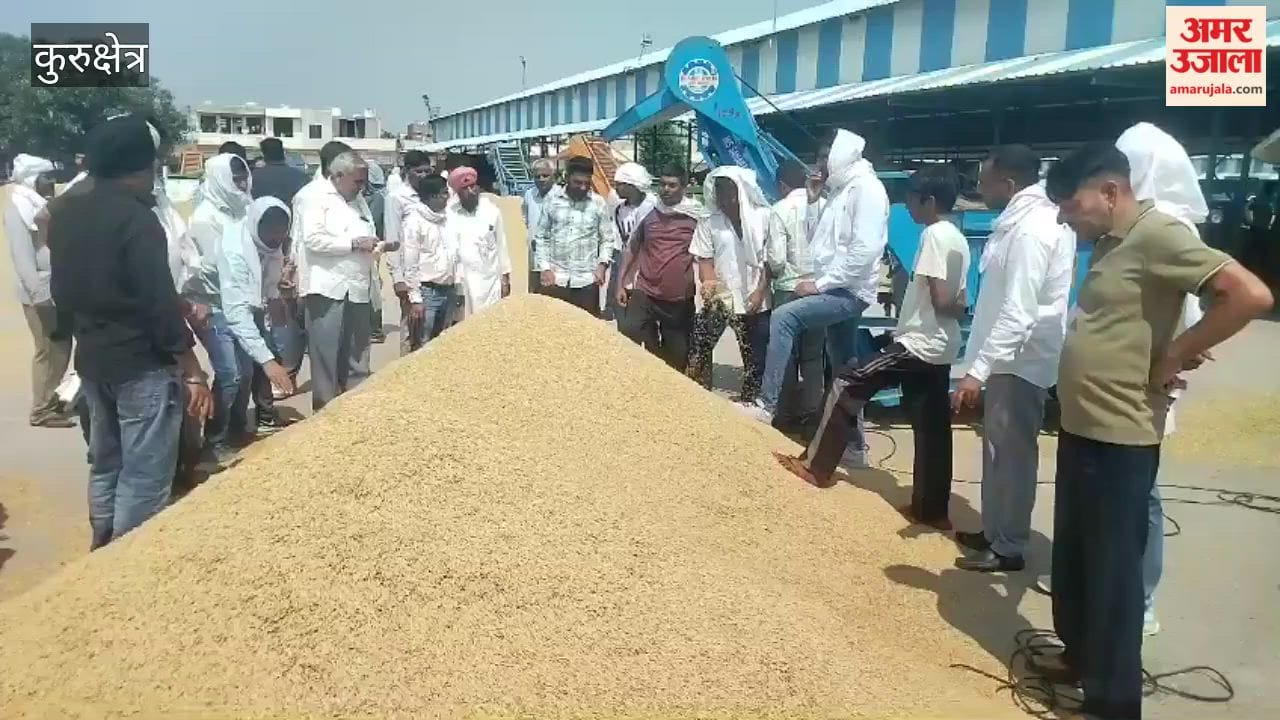 Kurukshetra: Price of 1509 paddy surges again, reaching ₹4,025 per quintal.