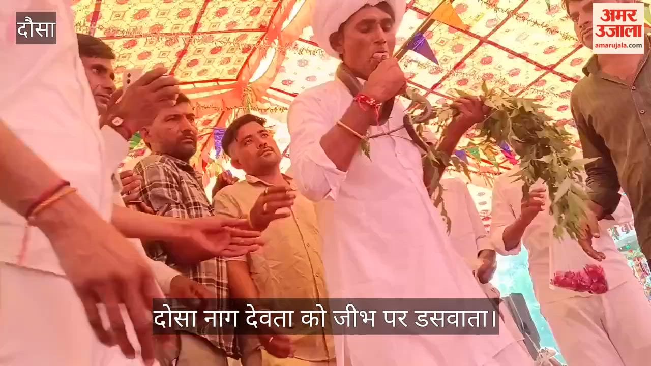 Unique Spectacle at Tejaji Fair Ghurla Places Cobra on Tongue on Stage Video Goes Viral