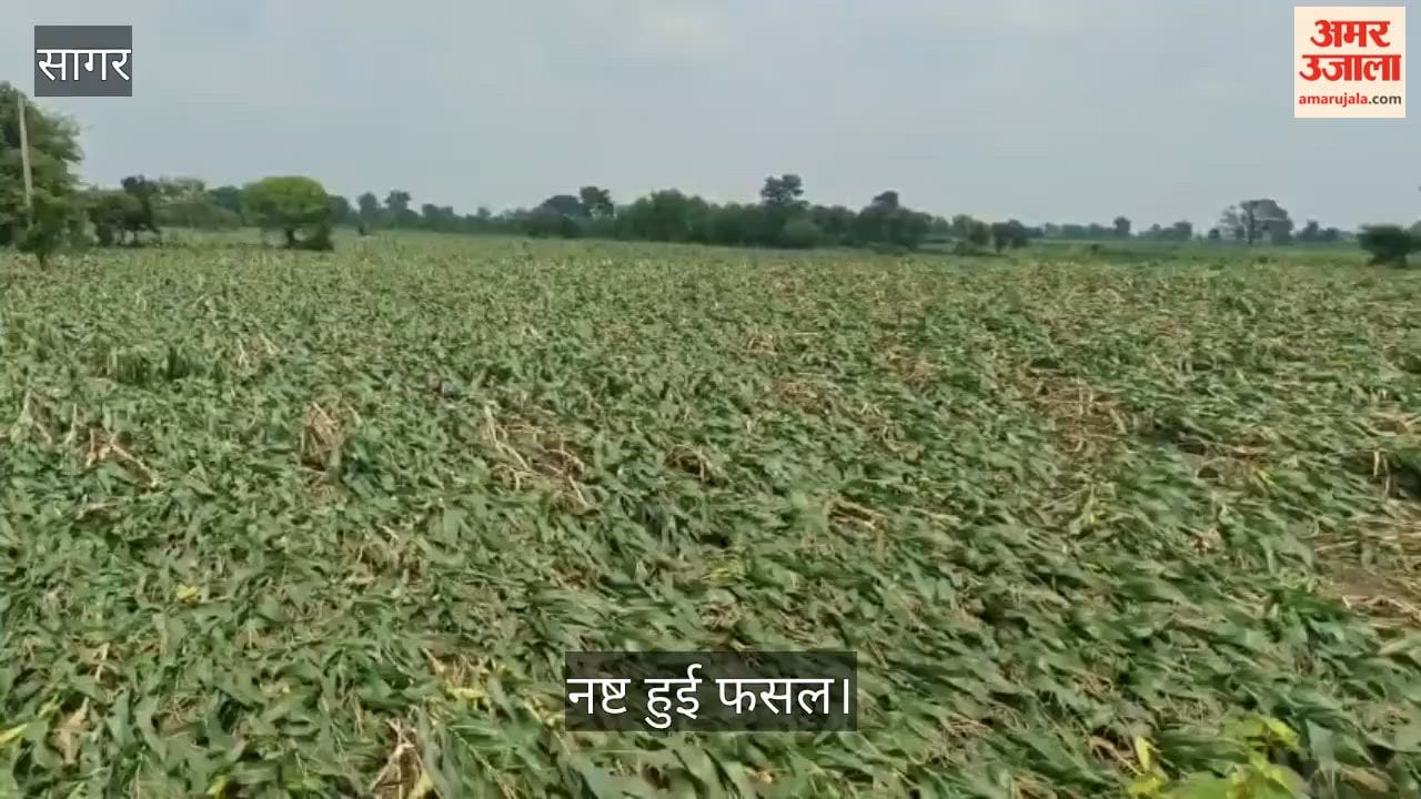 Severe Floods Destroy Crops in Rehli: Farmers Demand Compensation as Administration Begins Survey"